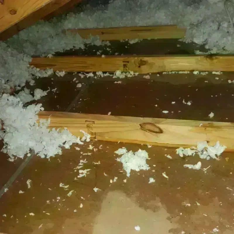 Attic Water Damage in Clarence Center, NY