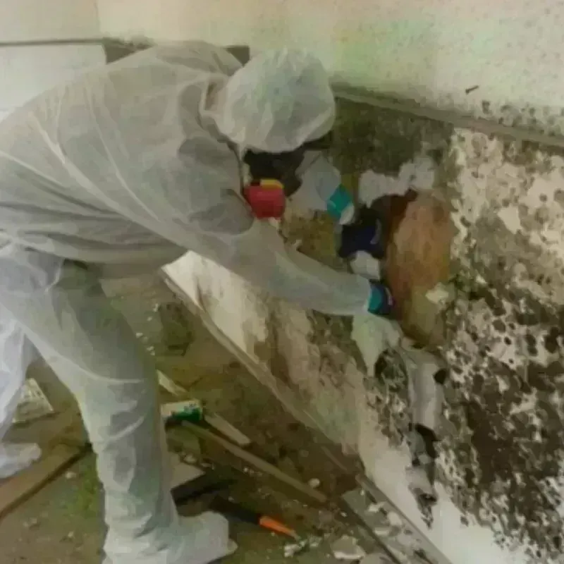 Mold Remediation and Removal in Clarence Center, NY